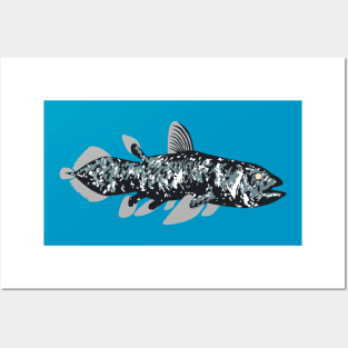 Coelacanth Posters and Art